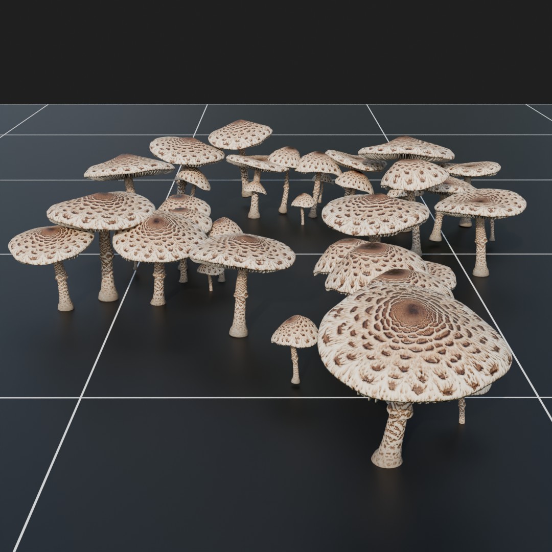 Mushrooms
